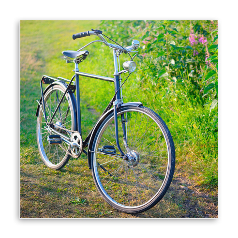 Acrylic Print 001