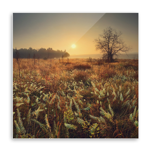 Acrylic Print 001
