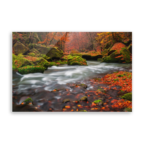 Acrylic Print 001