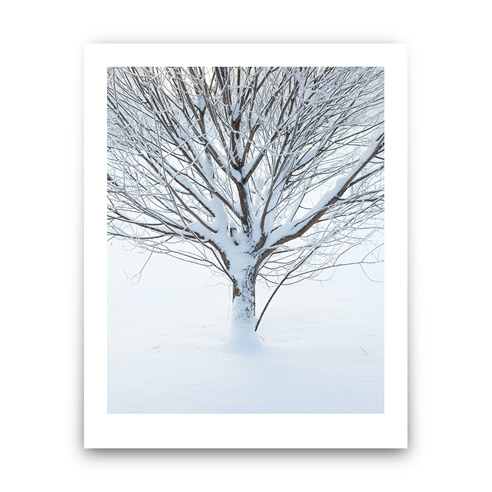 24x30print