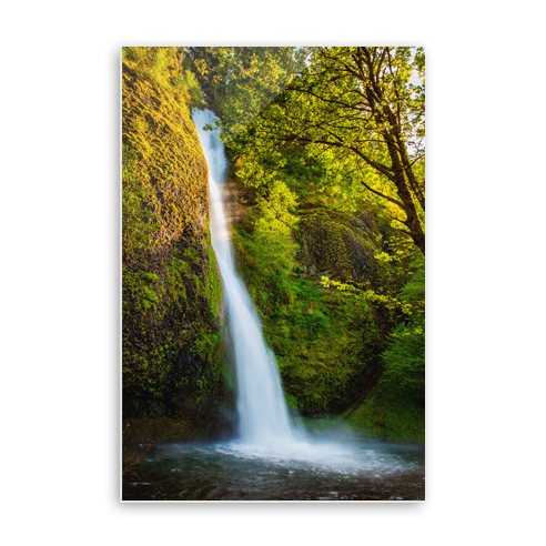 Acrylic Print 02