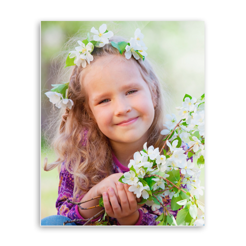 Acrylic Print 001