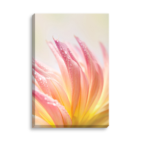 20x30 Full Image Wrap