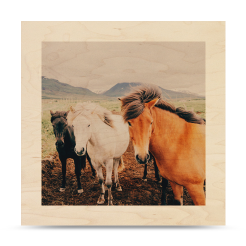 8x8 Wood Print (Border)