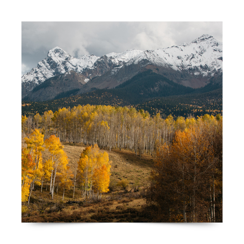 luster Print 16x16